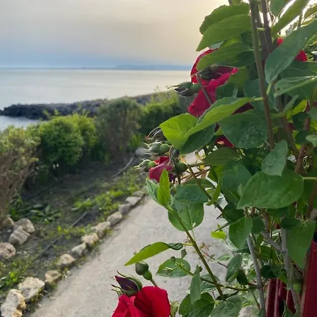 Sea View In Sveti Vlas *